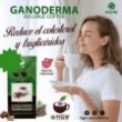 Imagen de GANODERMA